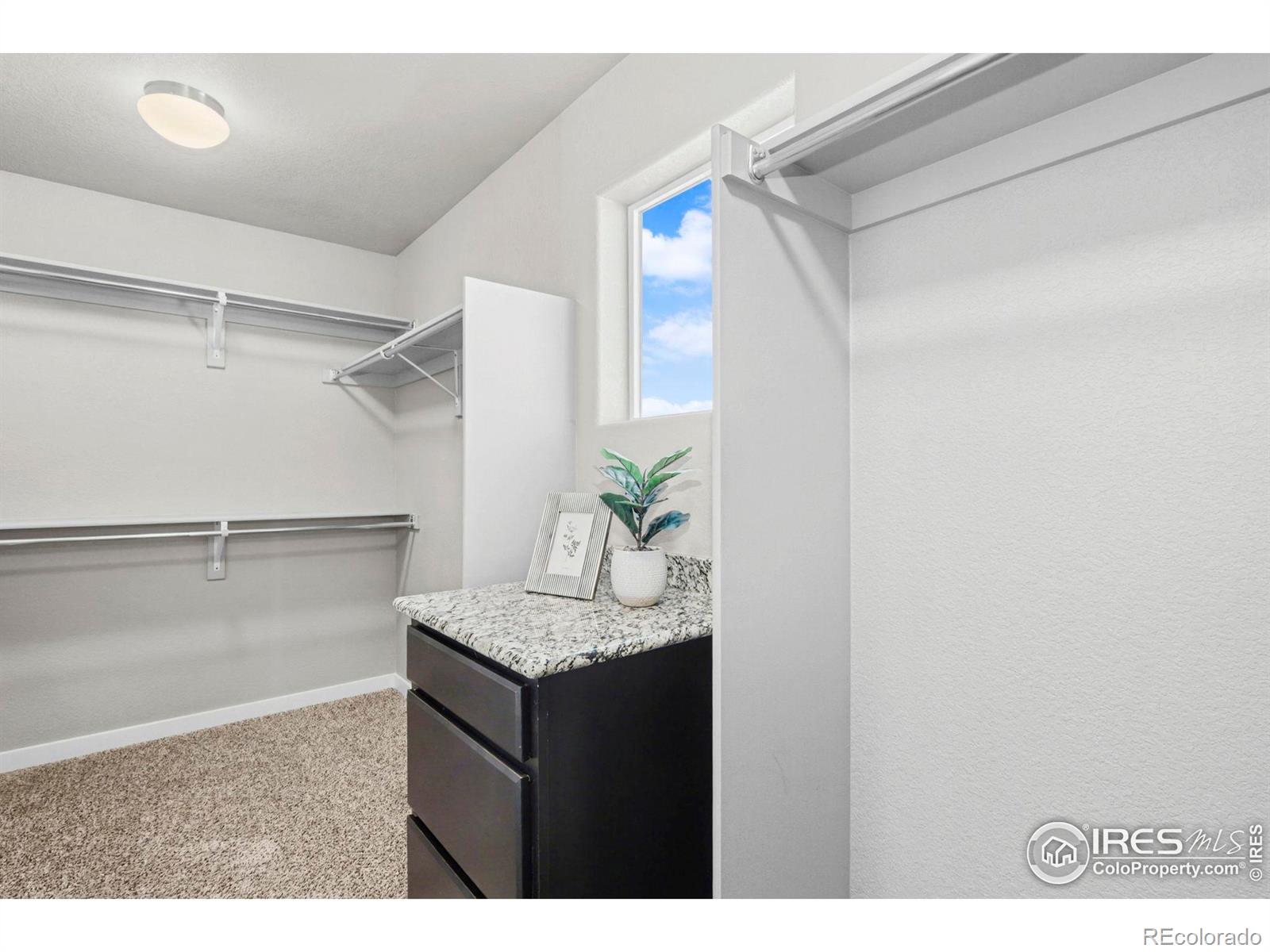 MLS Image #19 for 5540  chantry drive,windsor, Colorado