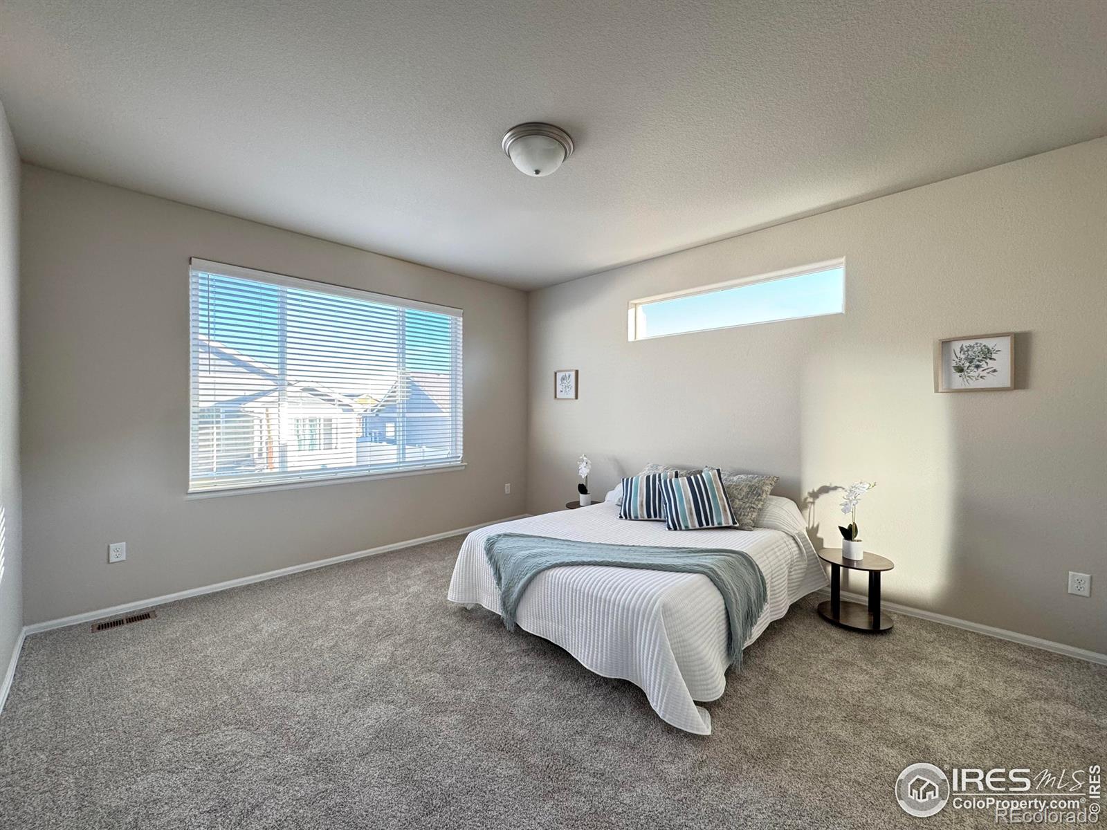 MLS Image #10 for 610  rosedale street,severance, Colorado