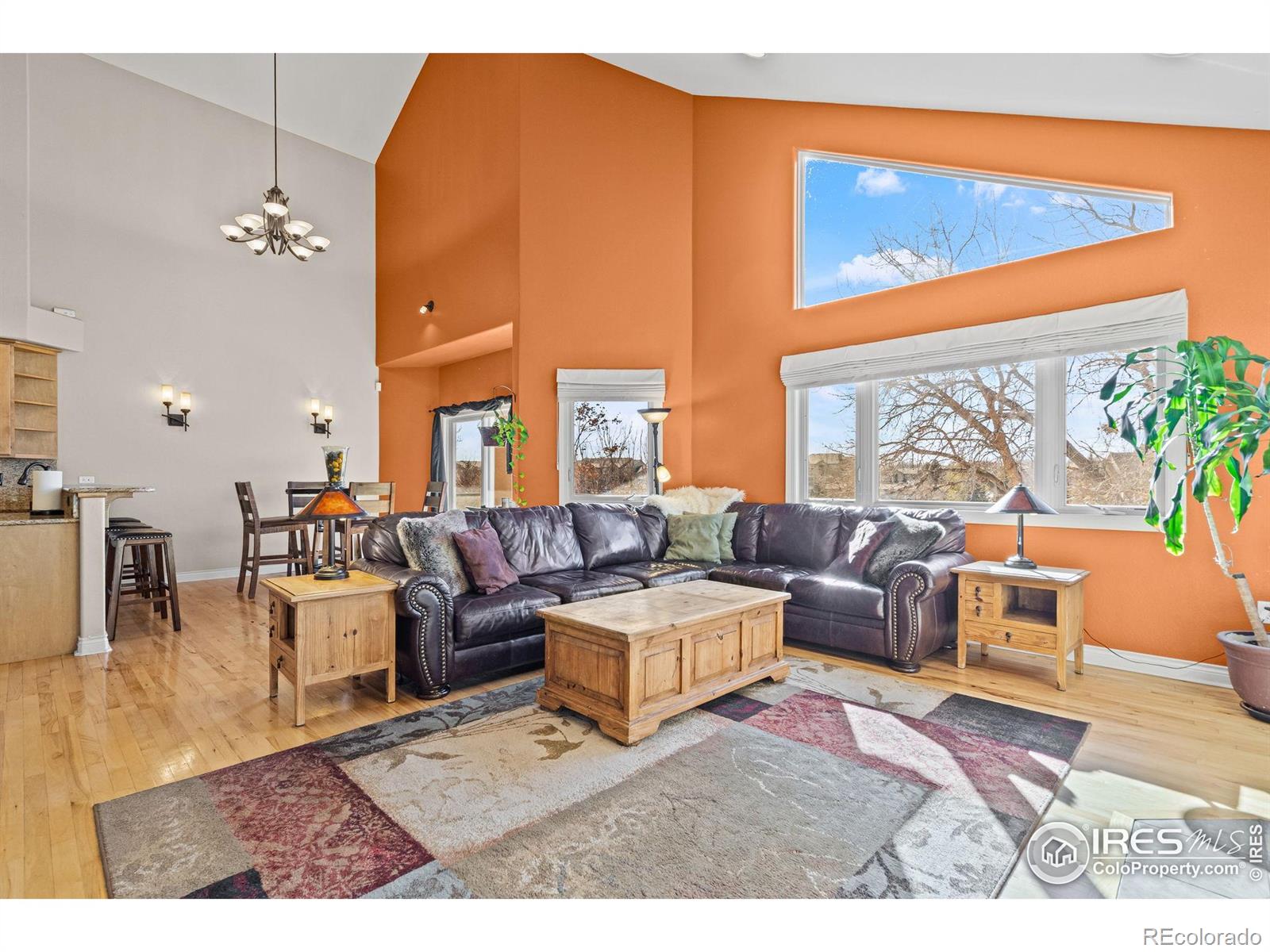 MLS Image #10 for 621  roma valley drive,fort collins, Colorado