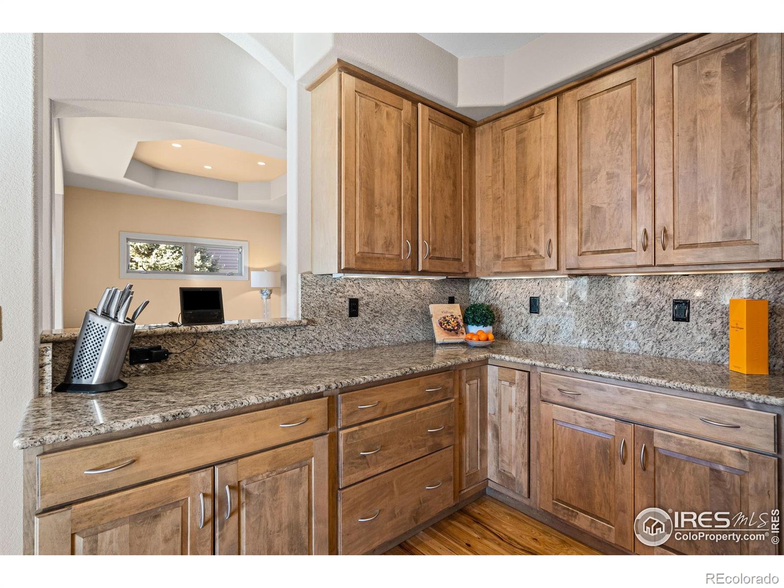 MLS Image #13 for 621  roma valley drive,fort collins, Colorado