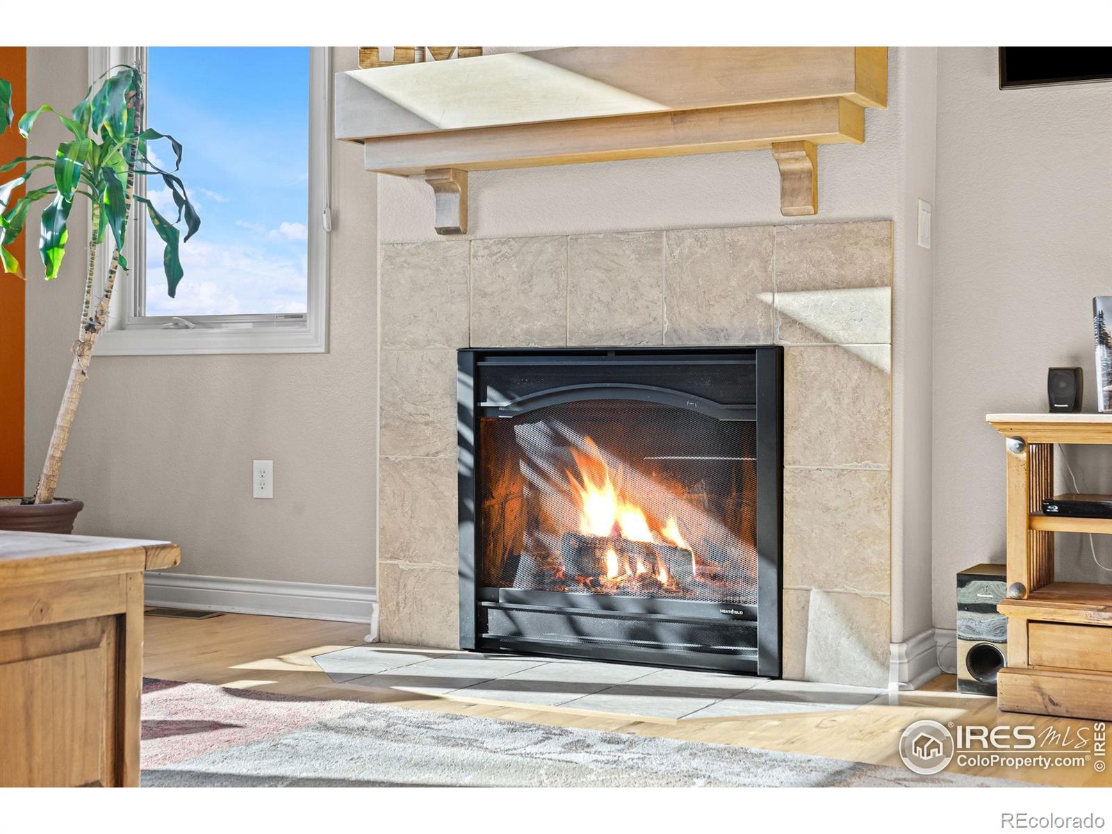 MLS Image #8 for 621  roma valley drive,fort collins, Colorado