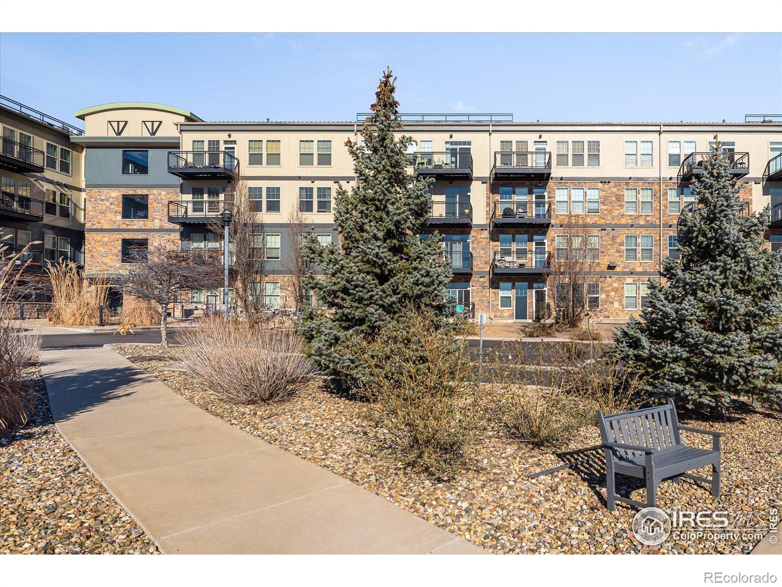 MLS Image #1 for 13598  via varra  321,broomfield, Colorado
