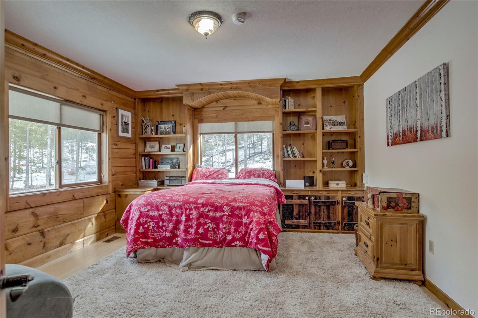 MLS Image #19 for 404  quartz drive,leadville, Colorado