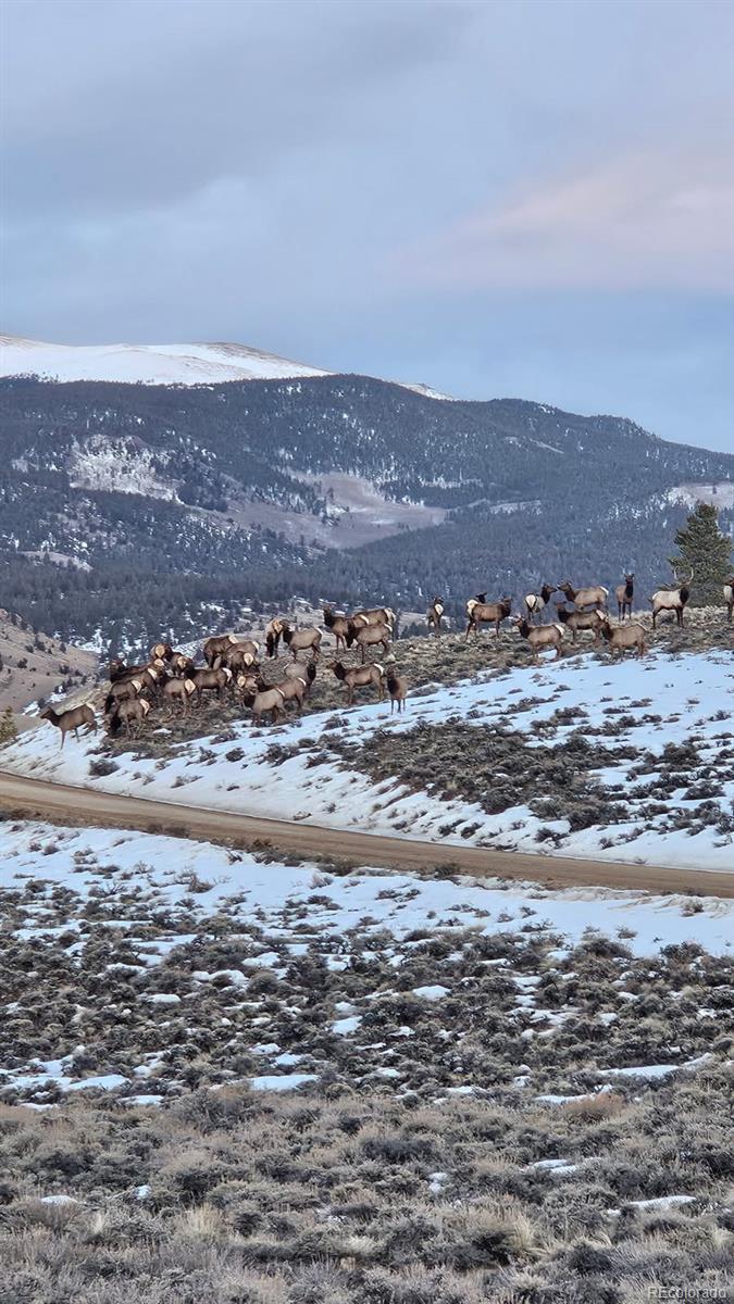 MLS Image #45 for 404  quartz drive,leadville, Colorado