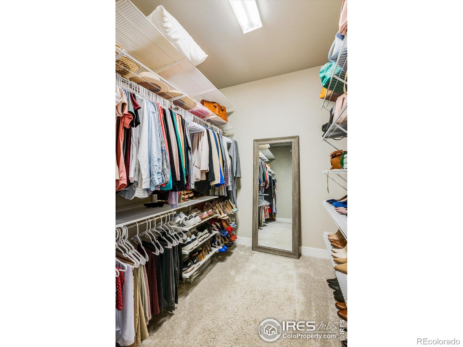 MLS Image #22 for 10121  flower street,westminster, Colorado