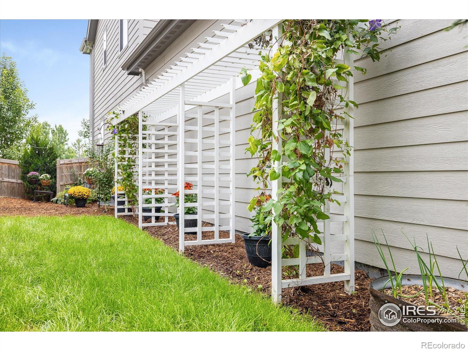 MLS Image #37 for 10121  flower street,westminster, Colorado