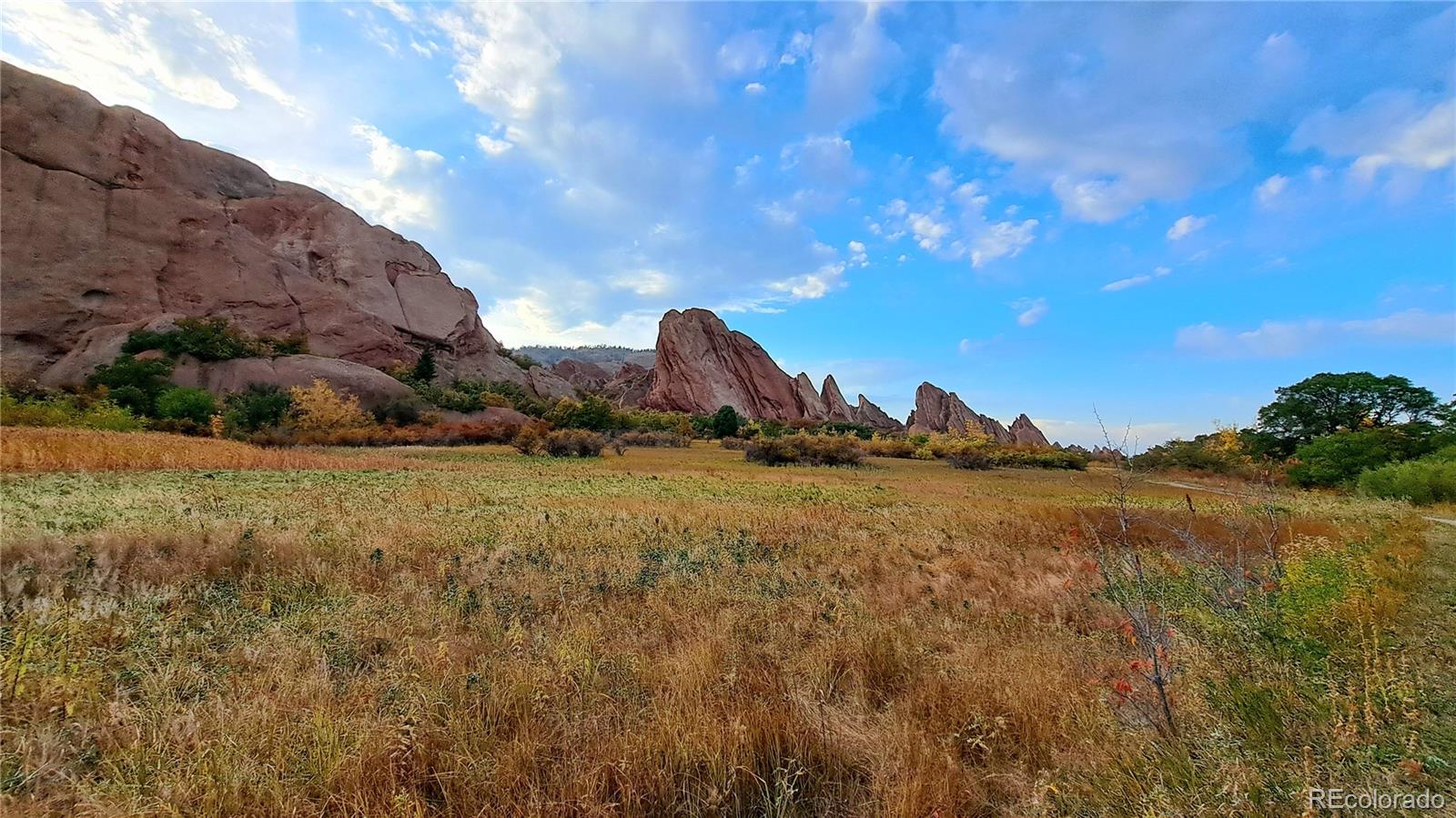 MLS Image #33 for 7672  elmwood street,littleton, Colorado
