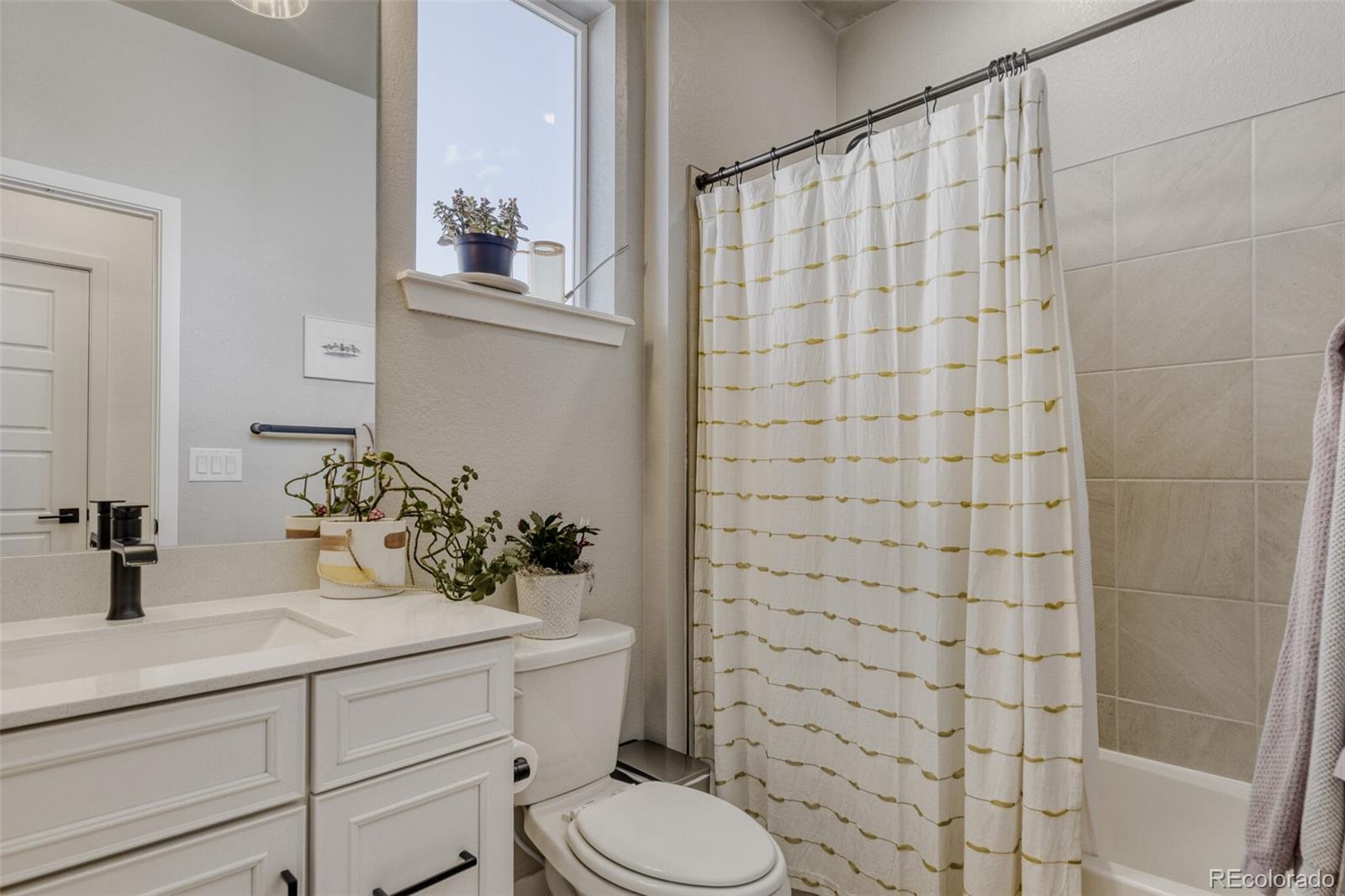 MLS Image #17 for 18077  tree sparrow avenue,parker, Colorado