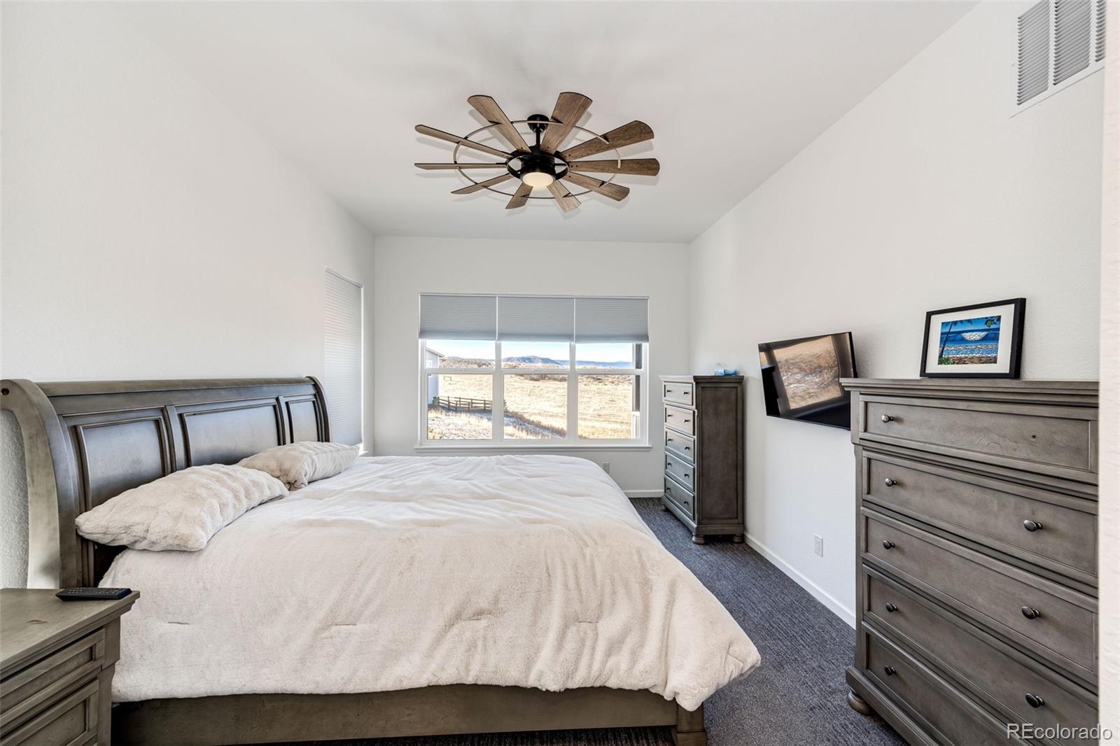 MLS Image #18 for 5681  water avens drive,castle rock, Colorado