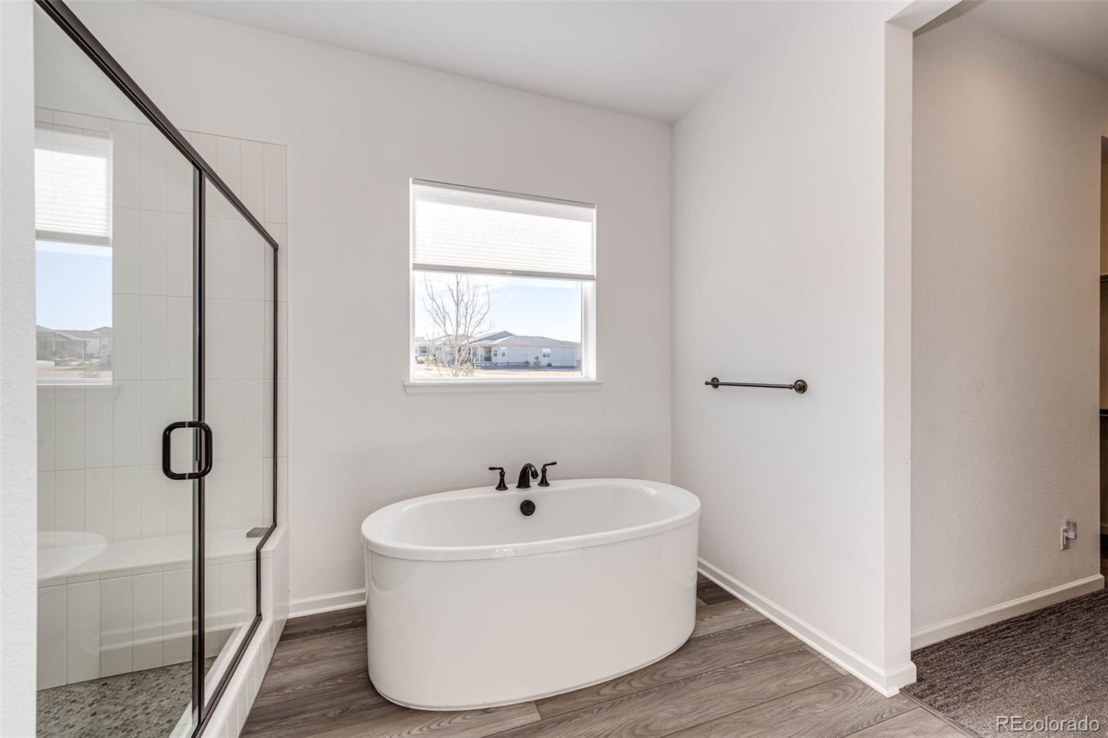 MLS Image #21 for 5681  water avens drive,castle rock, Colorado