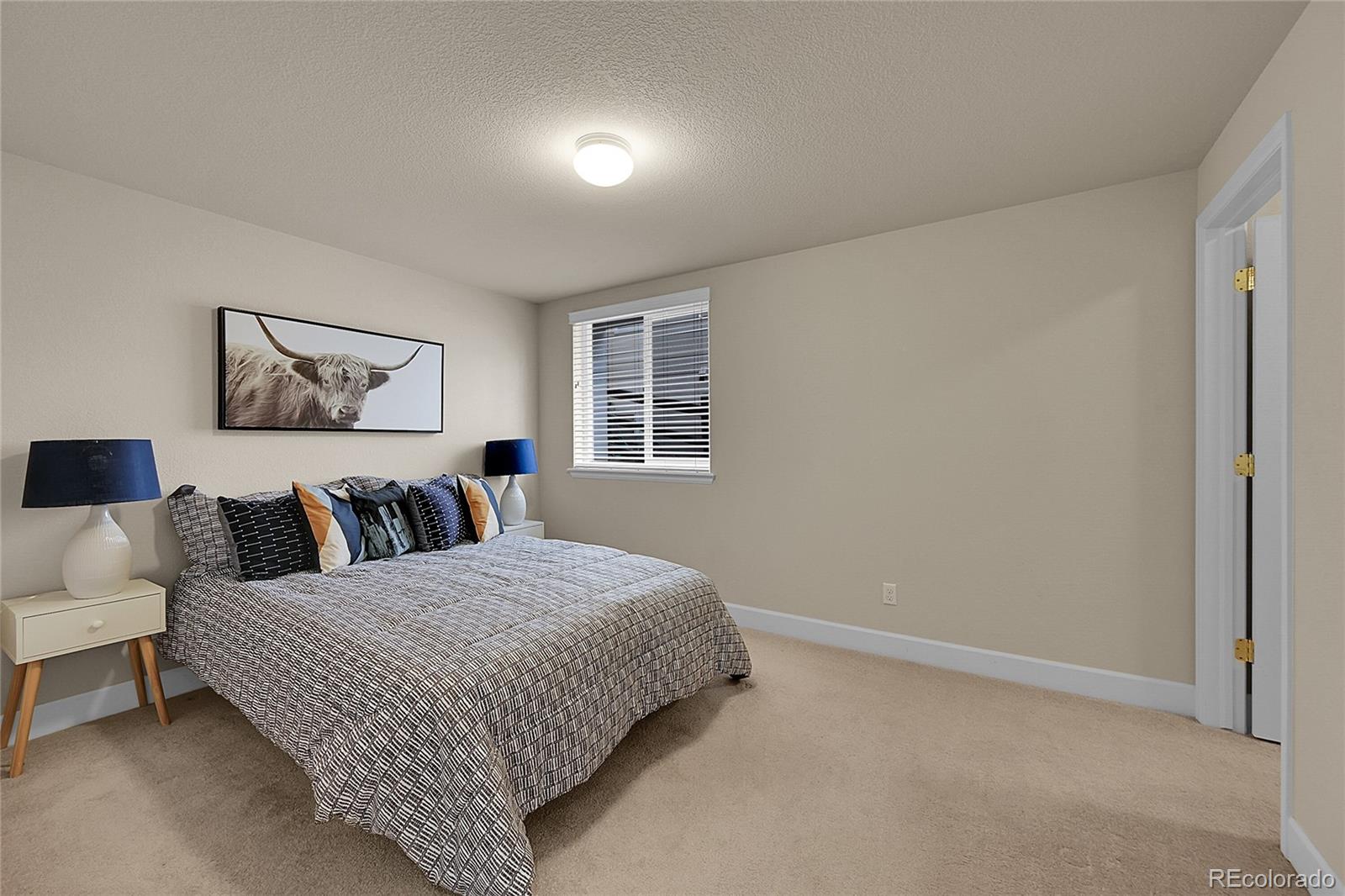 MLS Image #25 for 6928 s garrison street,littleton, Colorado
