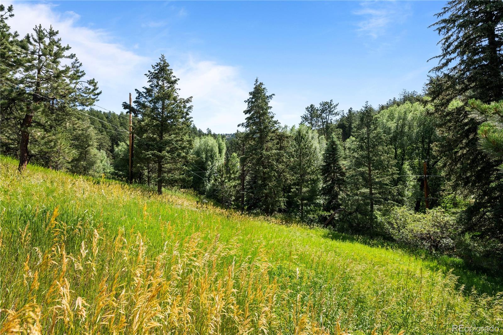 MLS Image #32 for 5211  parmalee gulch road,indian hills, Colorado