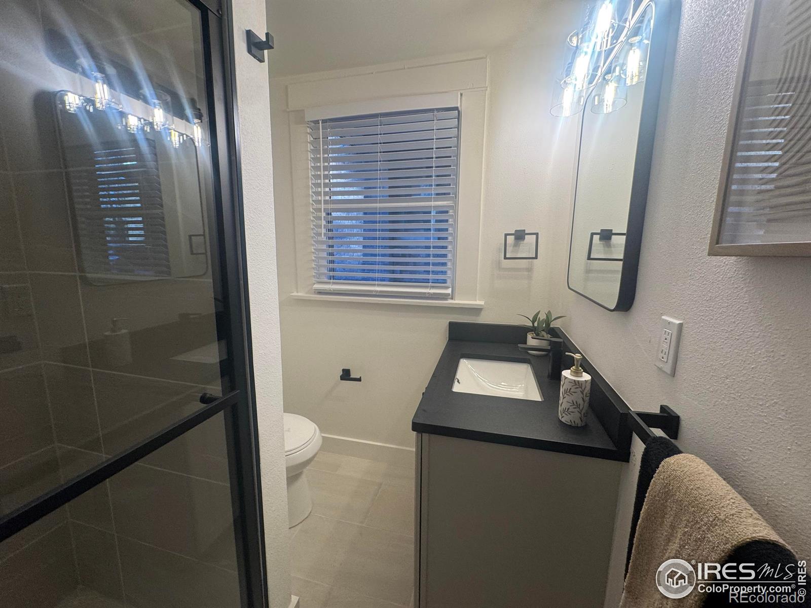 MLS Image #14 for 916 s williams street,denver, Colorado