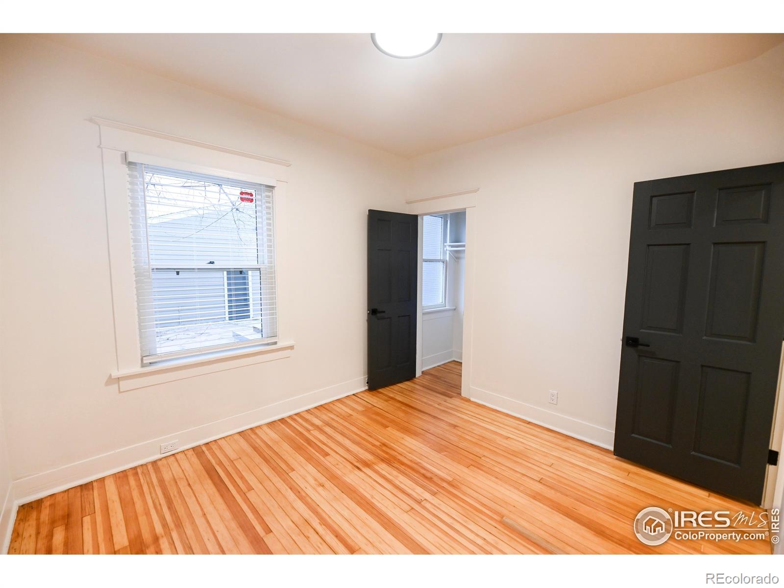 MLS Image #15 for 916 s williams street,denver, Colorado