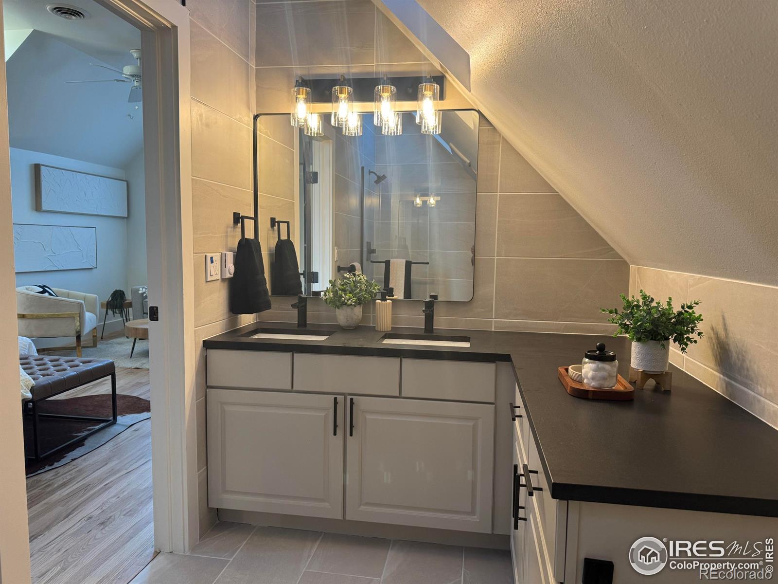 MLS Image #20 for 916 s williams street,denver, Colorado