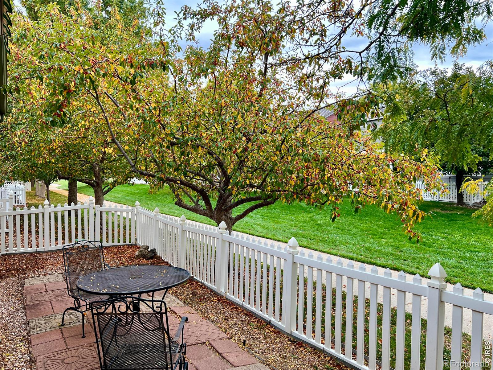 MLS Image #1 for 13963  cook street,thornton, Colorado