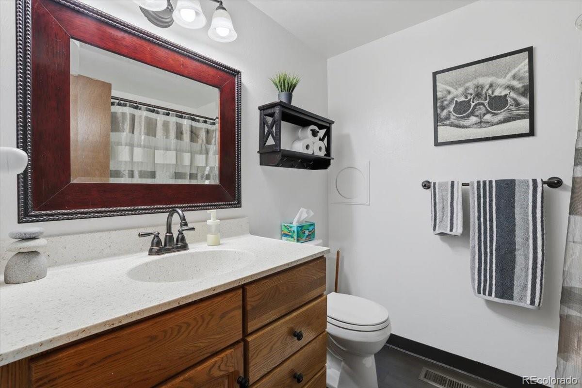 MLS Image #11 for 3810  hawk lane,colorado springs, Colorado