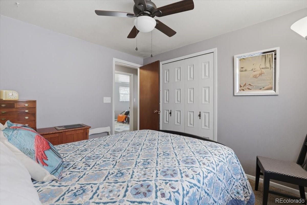 MLS Image #14 for 3810  hawk lane,colorado springs, Colorado