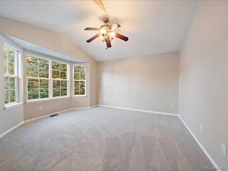 MLS Image #13 for 1388  rosemary drive,castle rock, Colorado