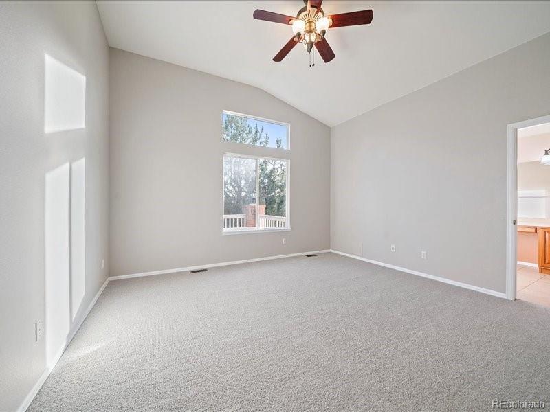 MLS Image #21 for 1388  rosemary drive,castle rock, Colorado