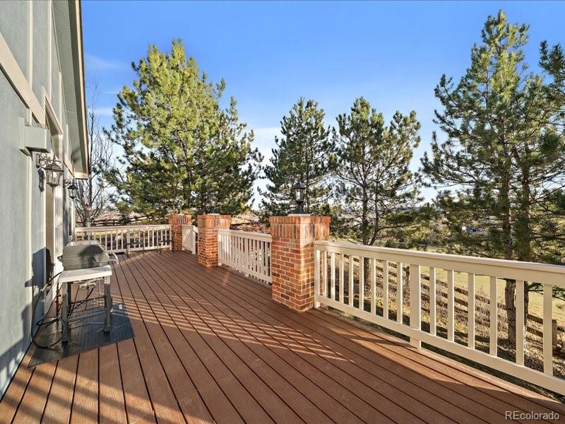 MLS Image #34 for 1388  rosemary drive,castle rock, Colorado