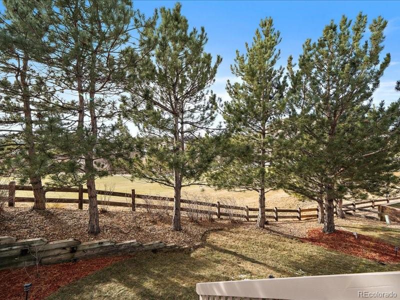 MLS Image #39 for 1388  rosemary drive,castle rock, Colorado
