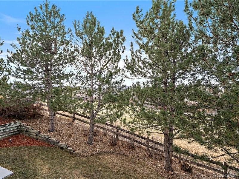 MLS Image #40 for 1388  rosemary drive,castle rock, Colorado