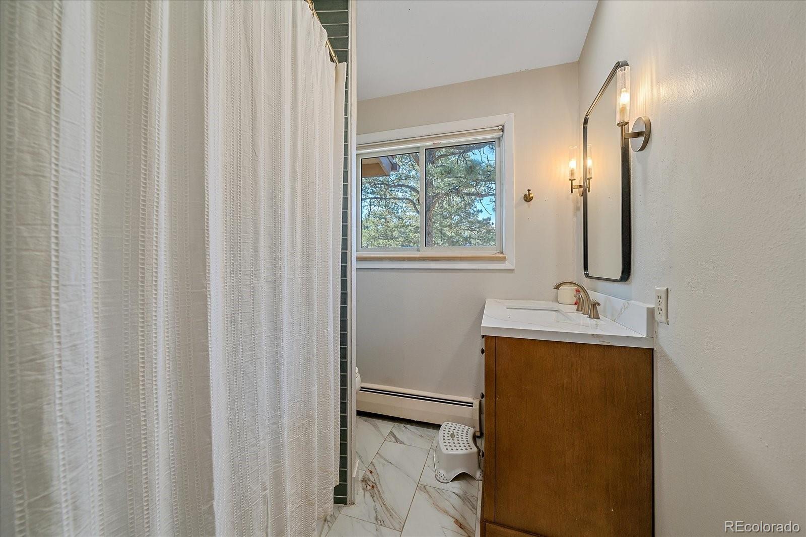 MLS Image #18 for 29793  paint brush drive,evergreen, Colorado