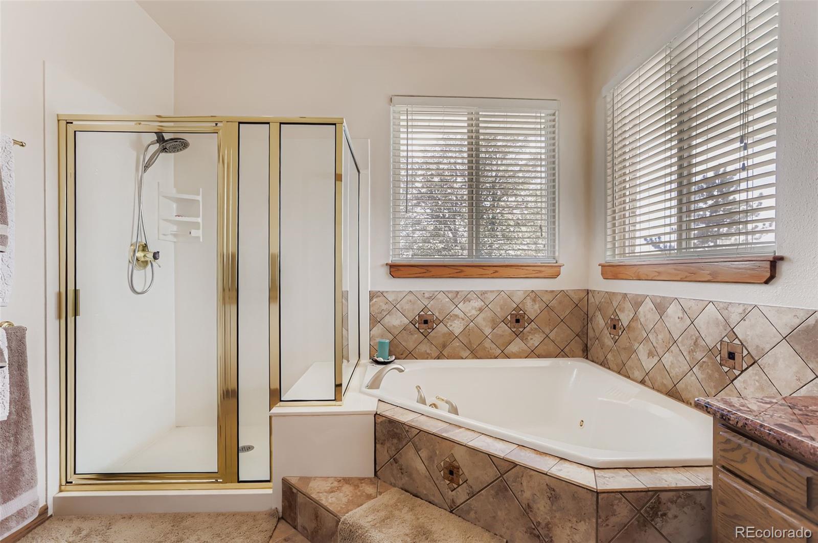 MLS Image #15 for 204  grand view circle,mead, Colorado
