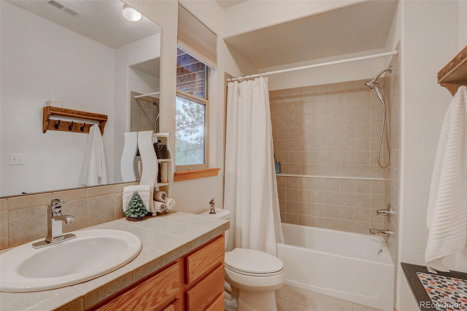 MLS Image #23 for 26268  snowdrop road,evergreen, Colorado