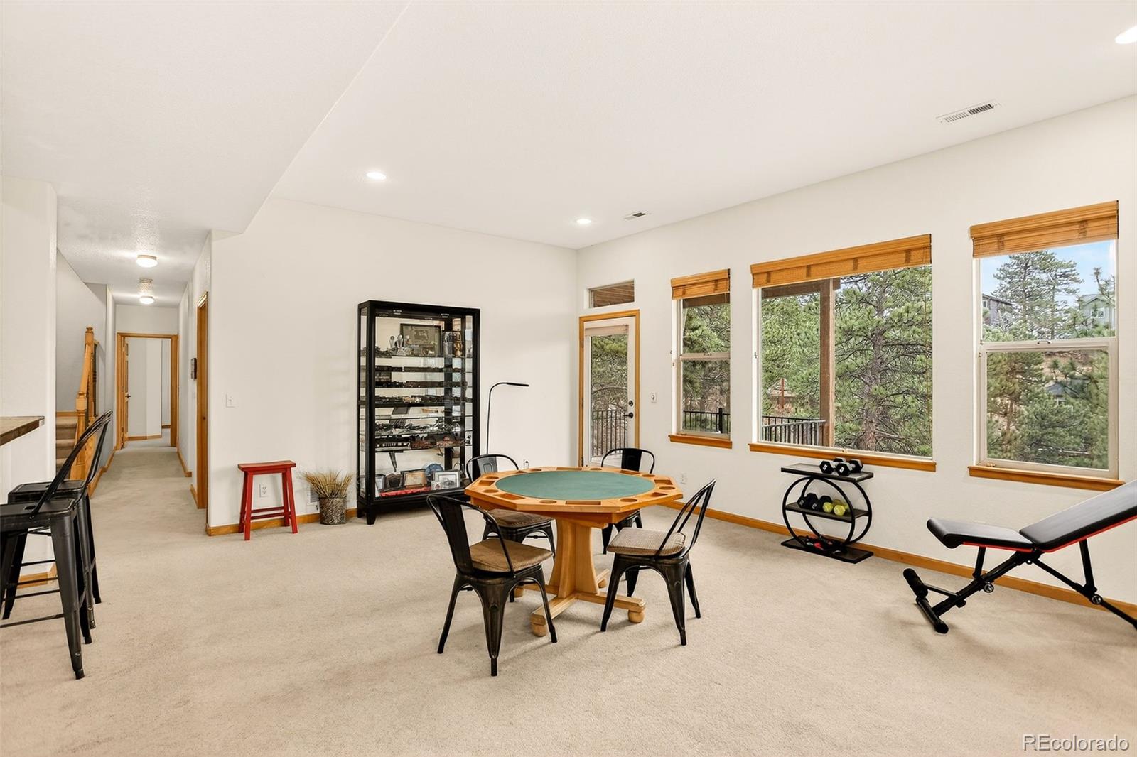 MLS Image #24 for 26268  snowdrop road,evergreen, Colorado