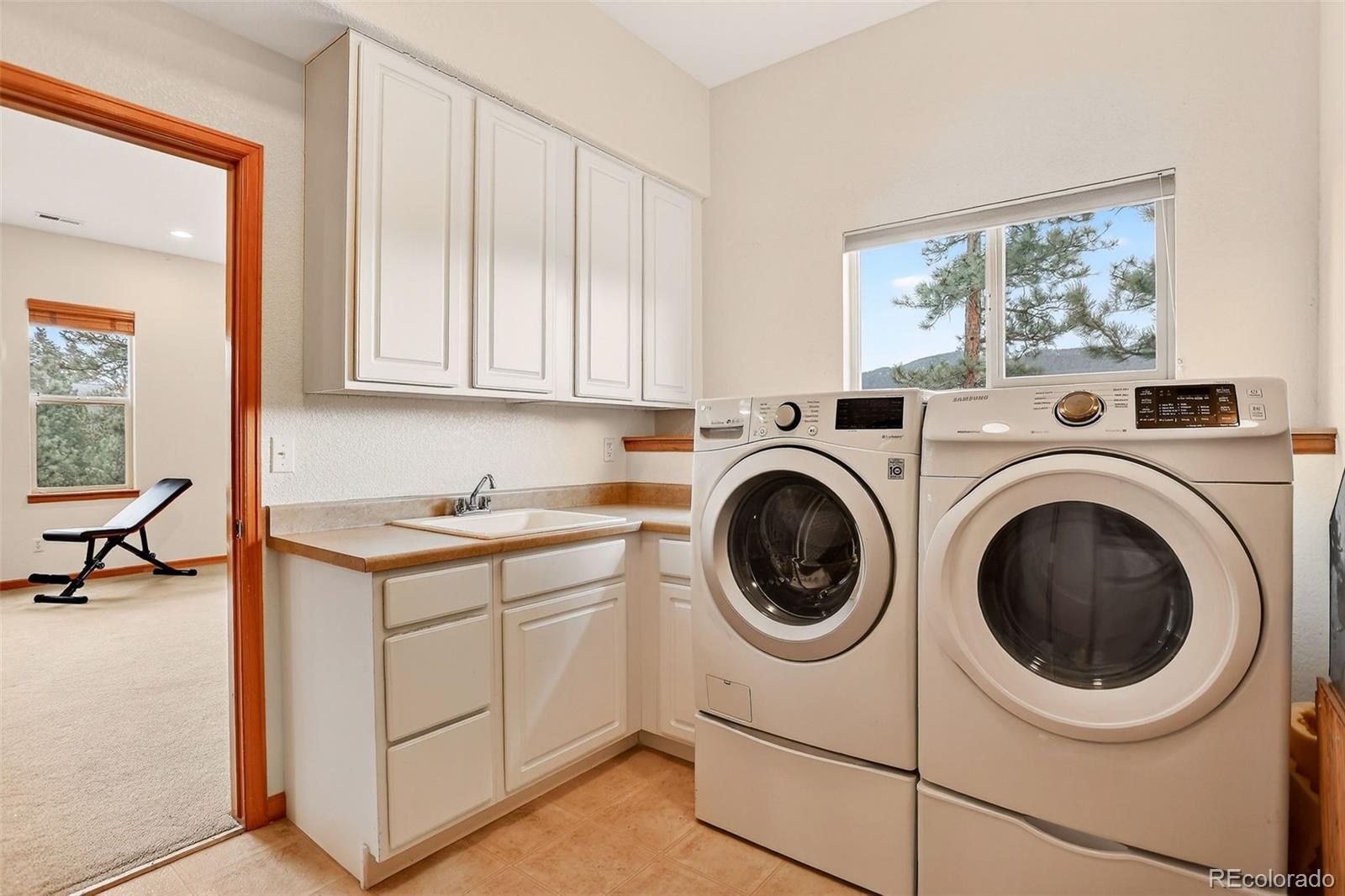 MLS Image #30 for 26268  snowdrop road,evergreen, Colorado