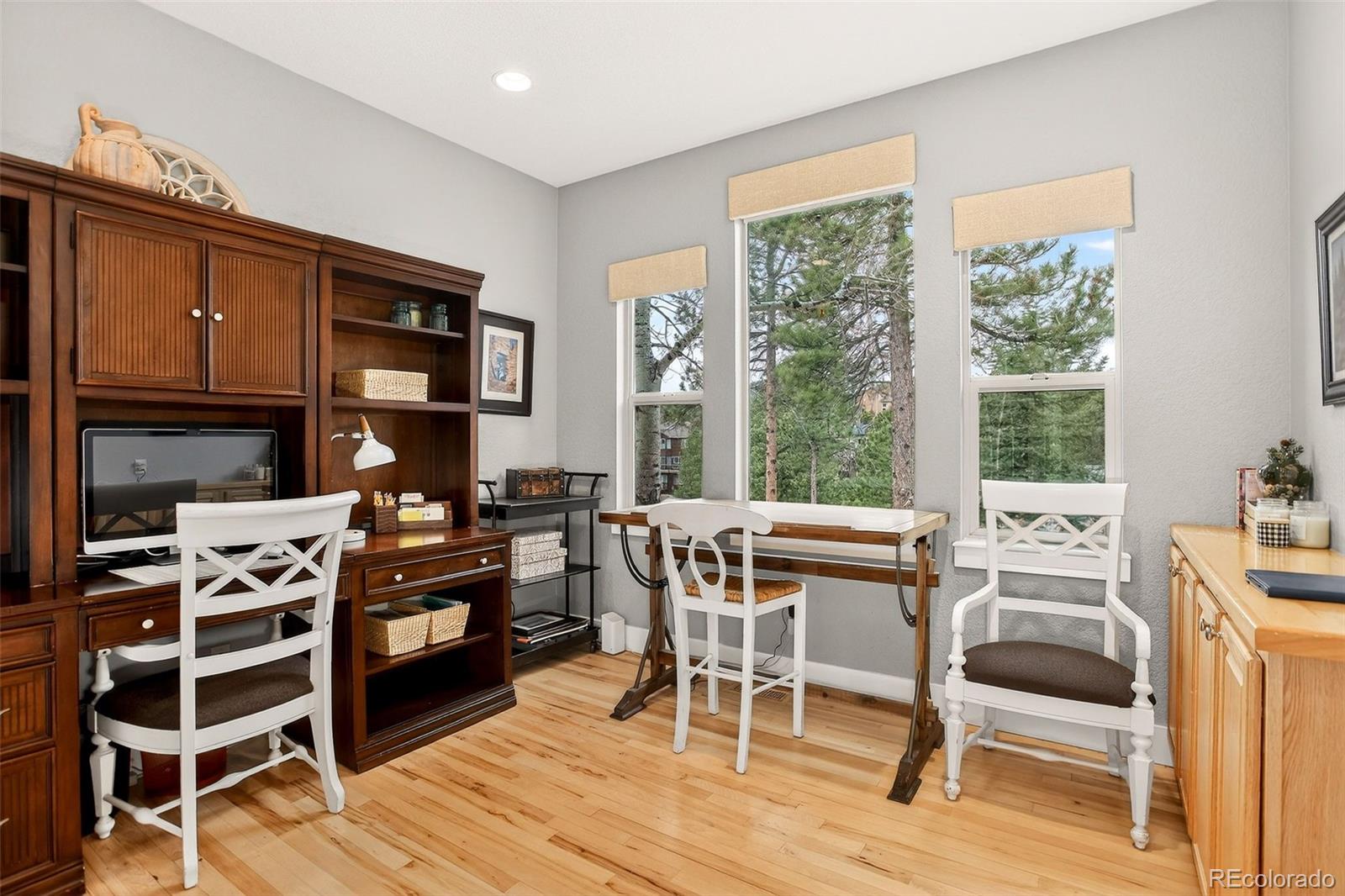 MLS Image #31 for 26268  snowdrop road,evergreen, Colorado
