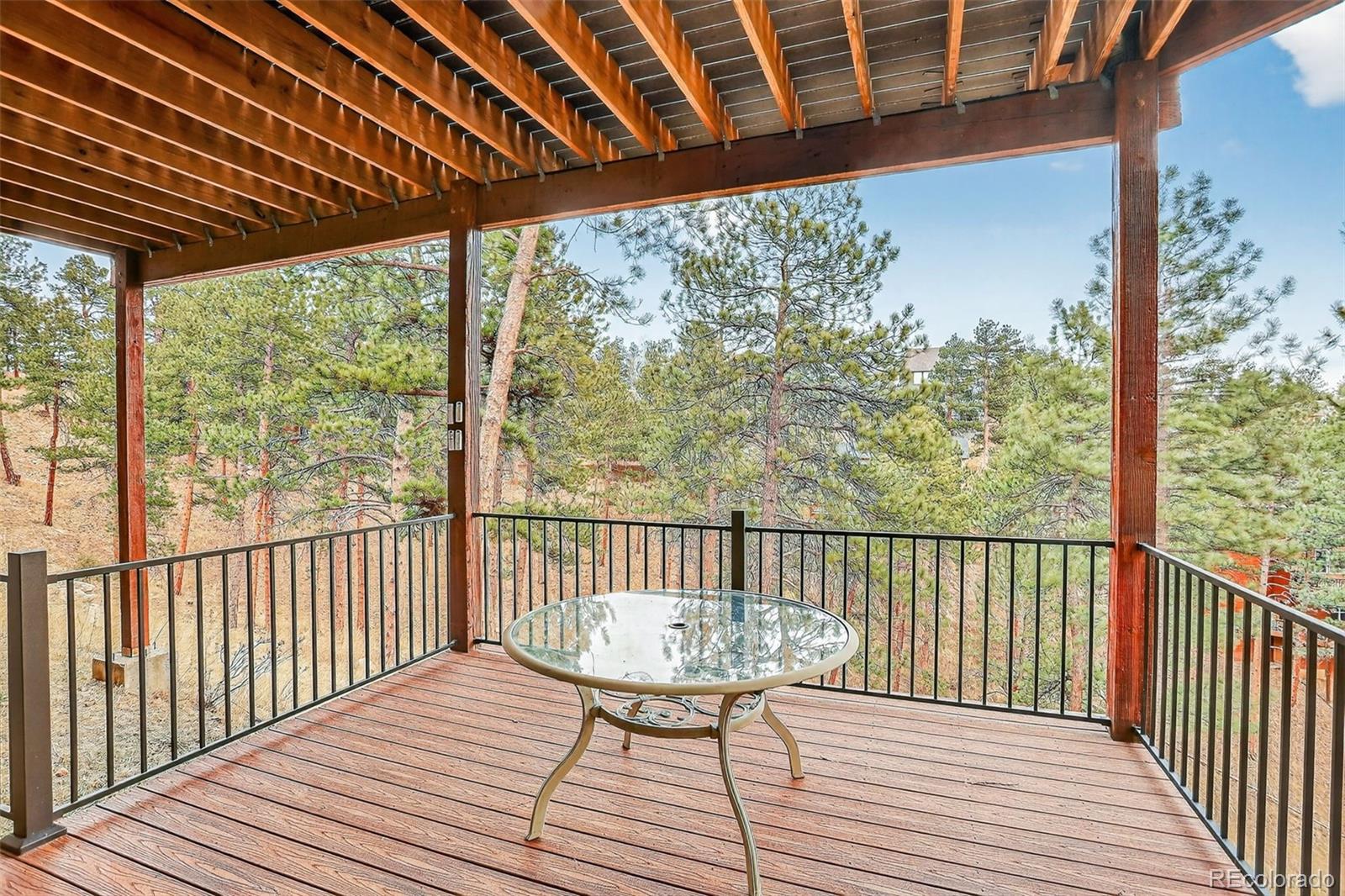 MLS Image #42 for 26268  snowdrop road,evergreen, Colorado