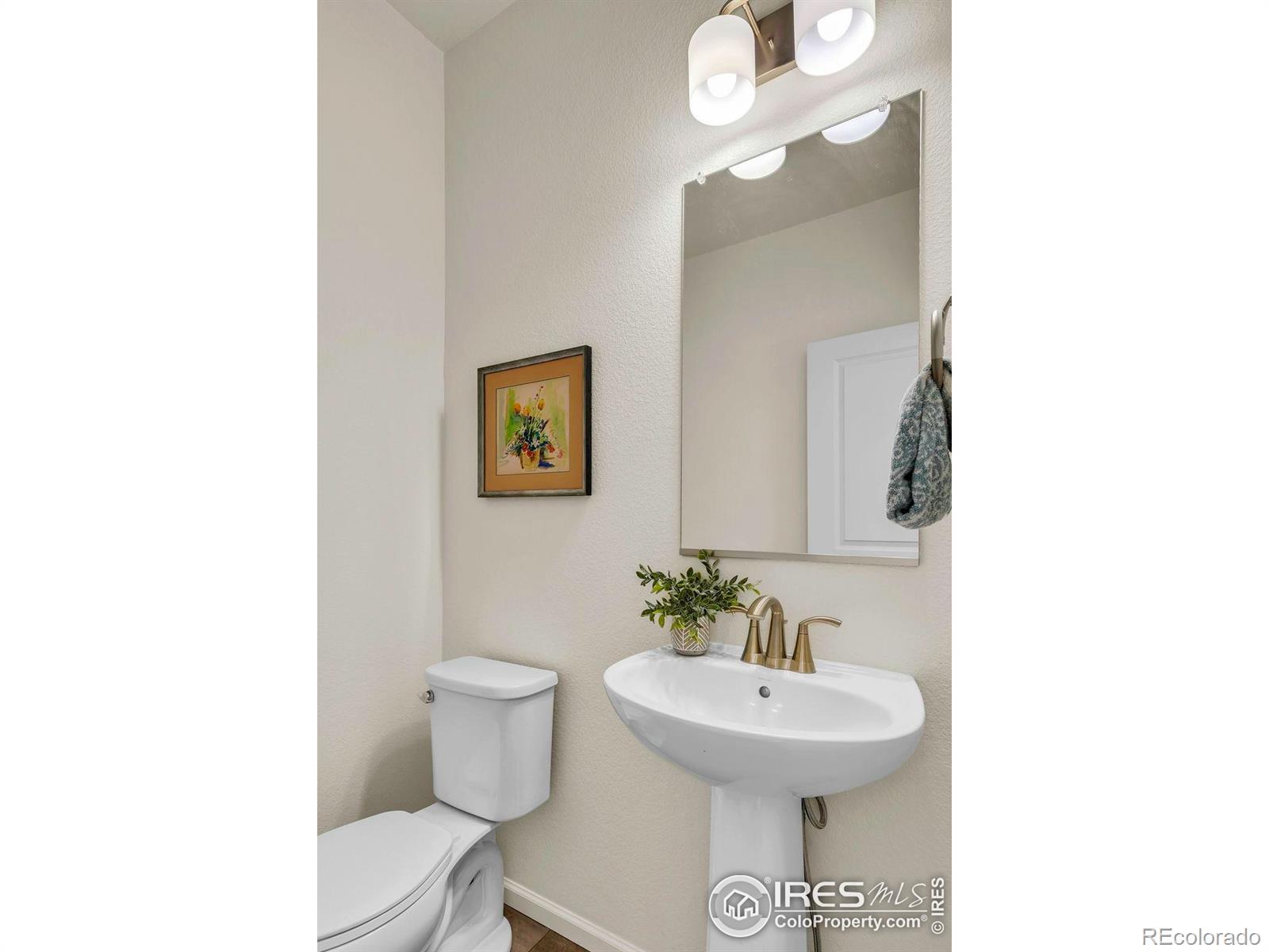 MLS Image #19 for 1356  shale drive,erie, Colorado