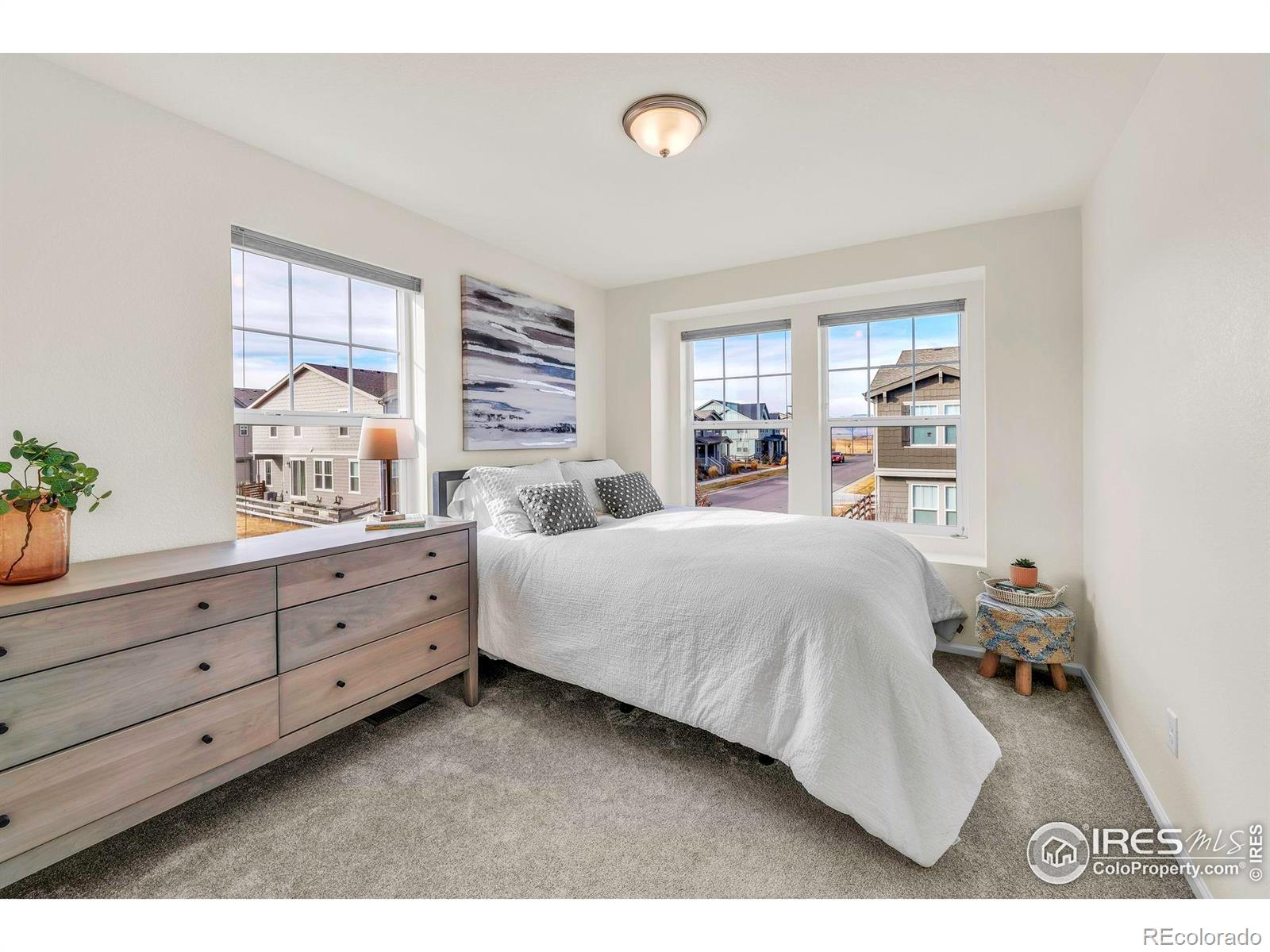 MLS Image #28 for 1356  shale drive,erie, Colorado