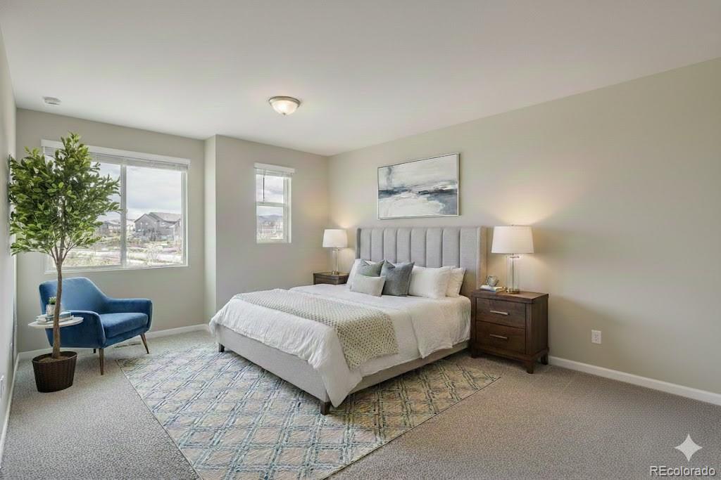 MLS Image #19 for 8406  mount ouray road ,littleton, Colorado