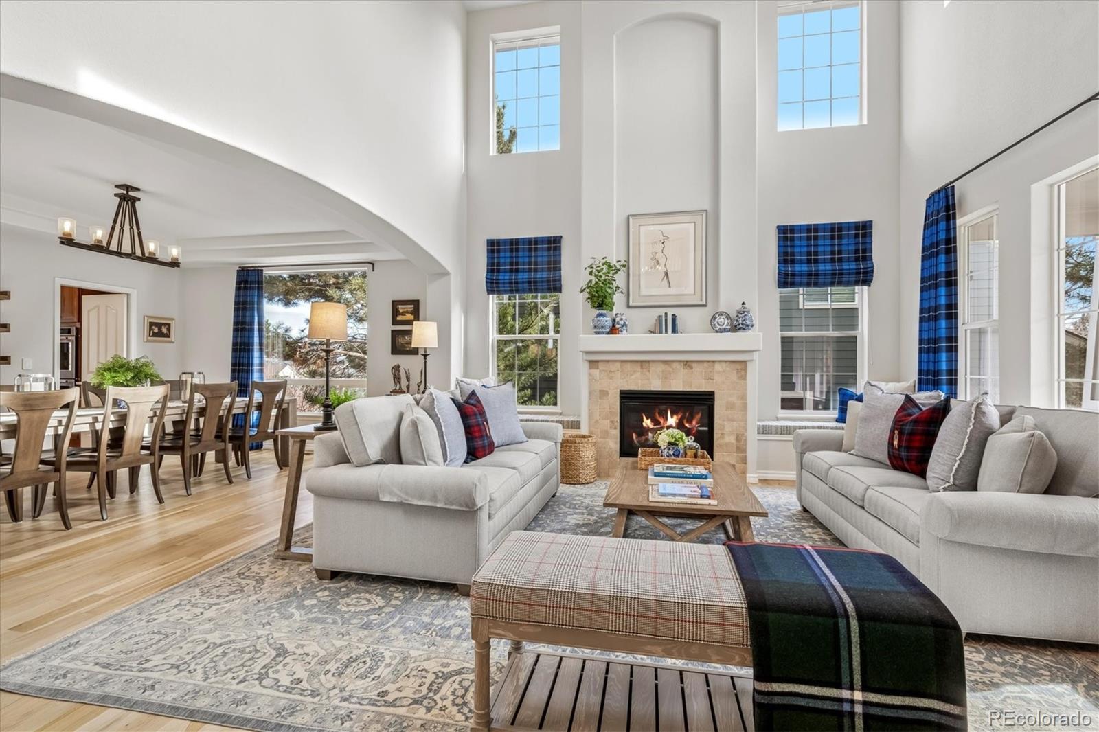 MLS Image #6 for 5625  brahma place,parker, Colorado