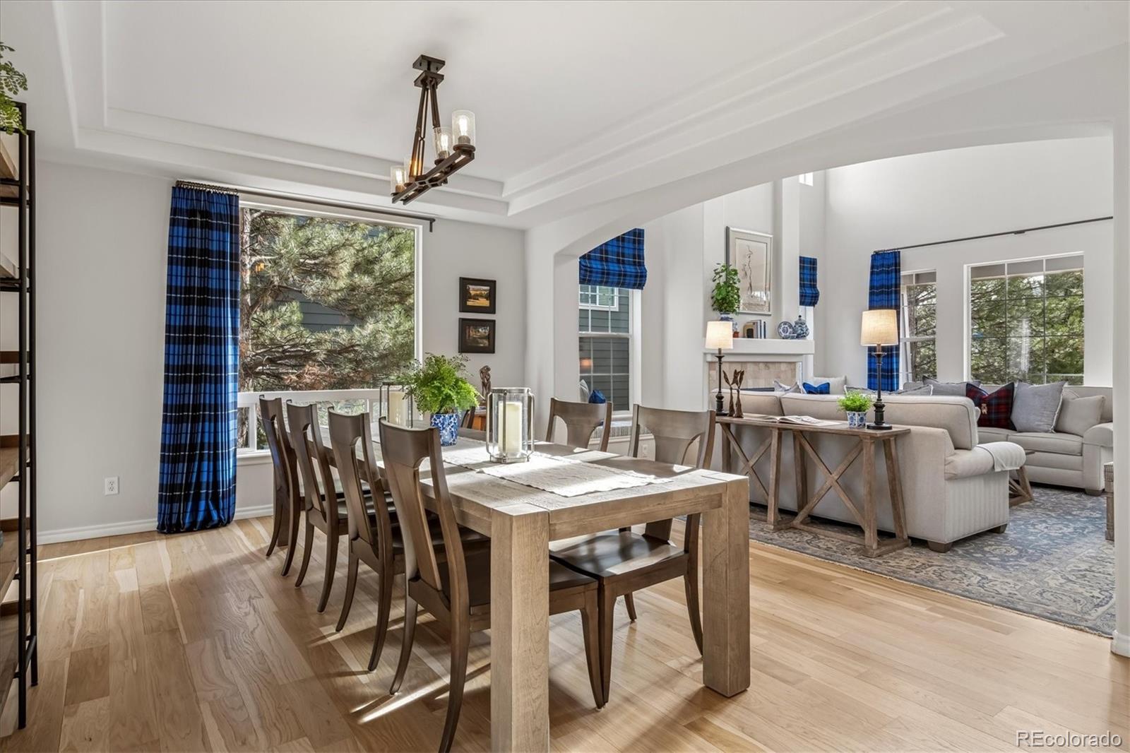 MLS Image #8 for 5625  brahma place,parker, Colorado