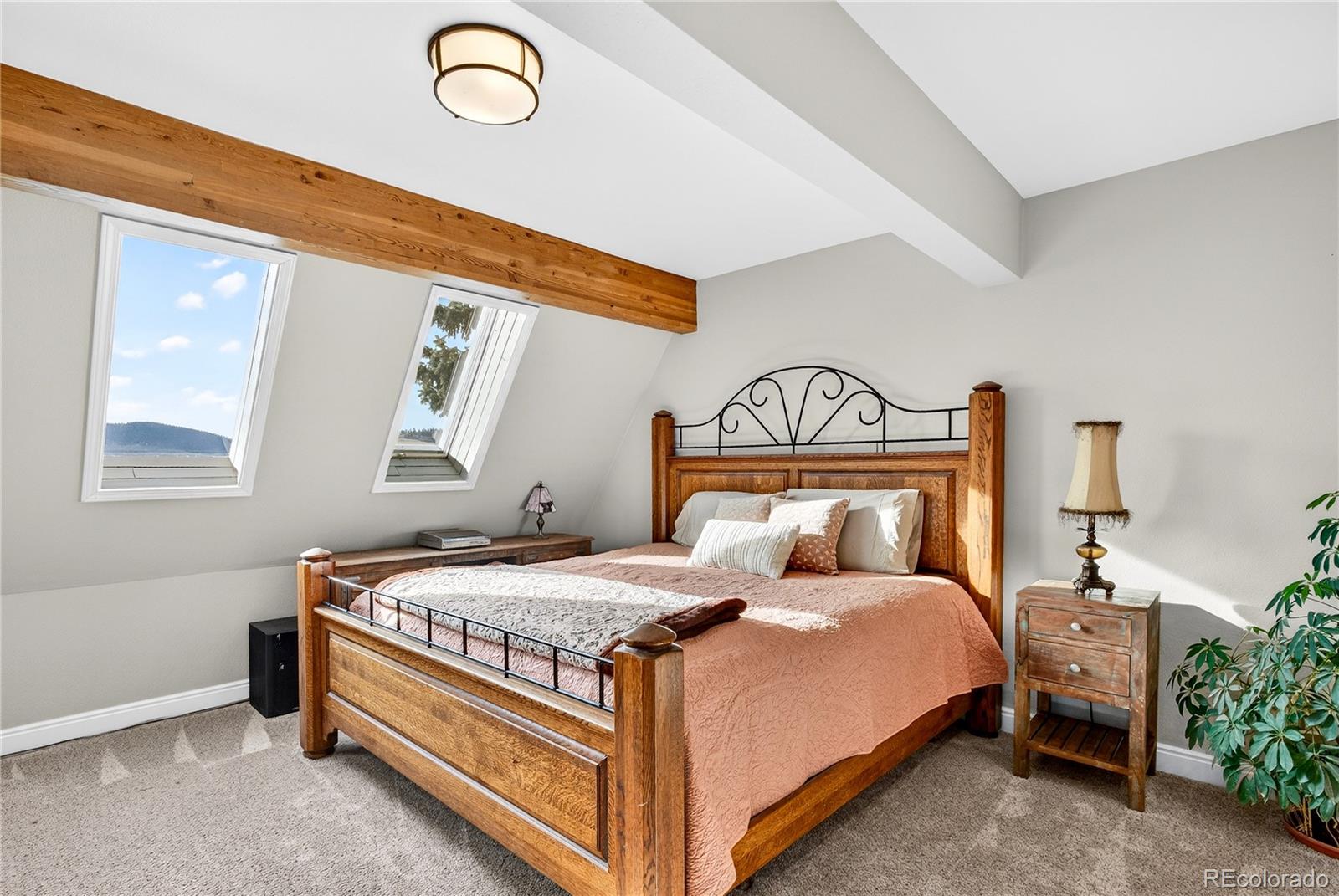MLS Image #19 for 31249  robinson hill road,golden, Colorado