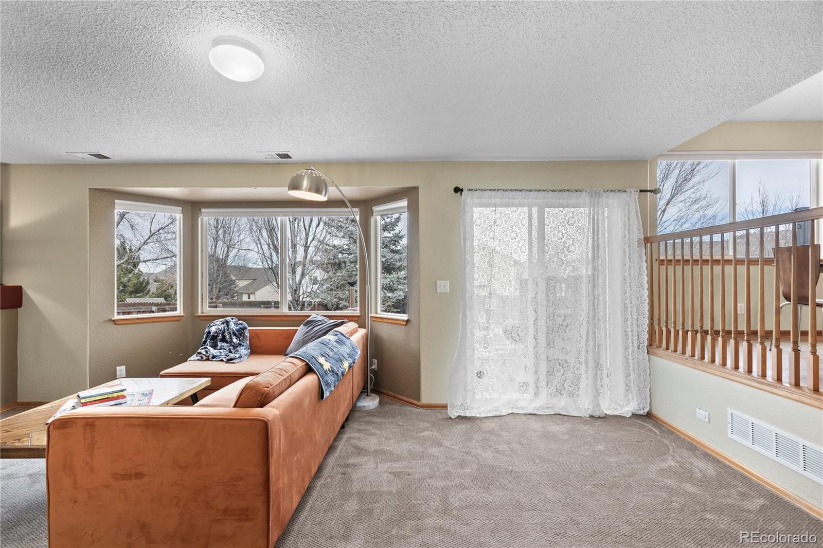 MLS Image #18 for 3743  black feather trail,castle rock, Colorado