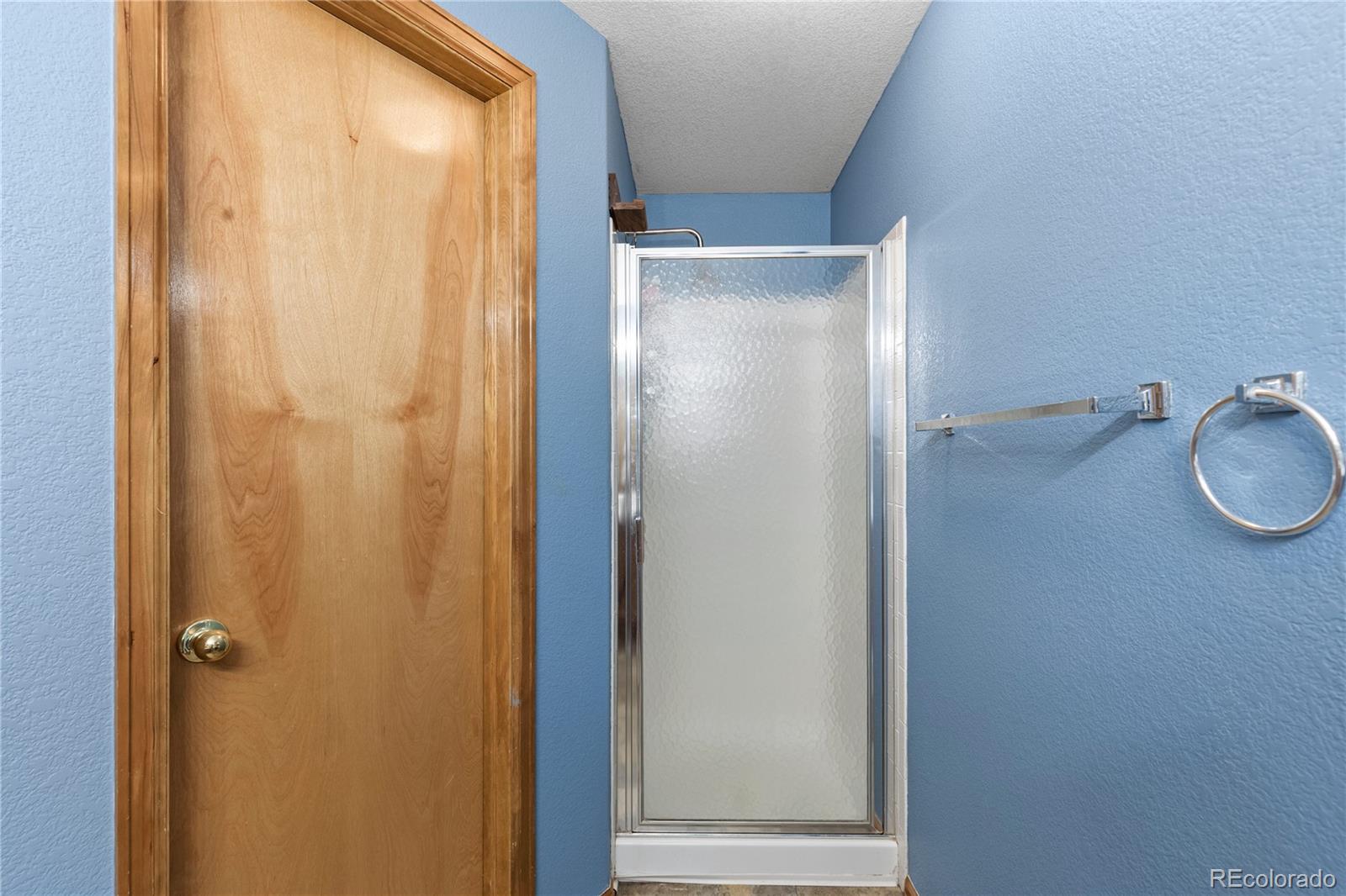 MLS Image #27 for 3743  black feather trail,castle rock, Colorado