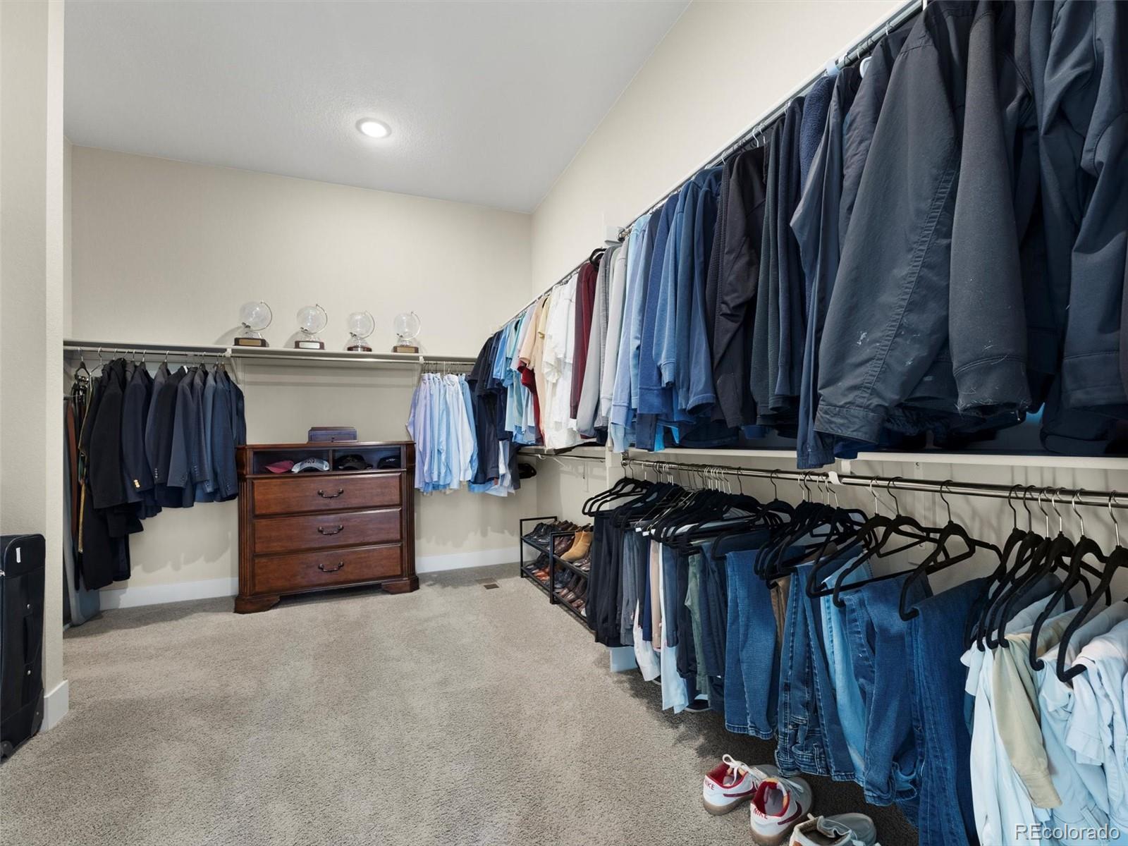 MLS Image #15 for 4797  saddle iron road,castle rock, Colorado