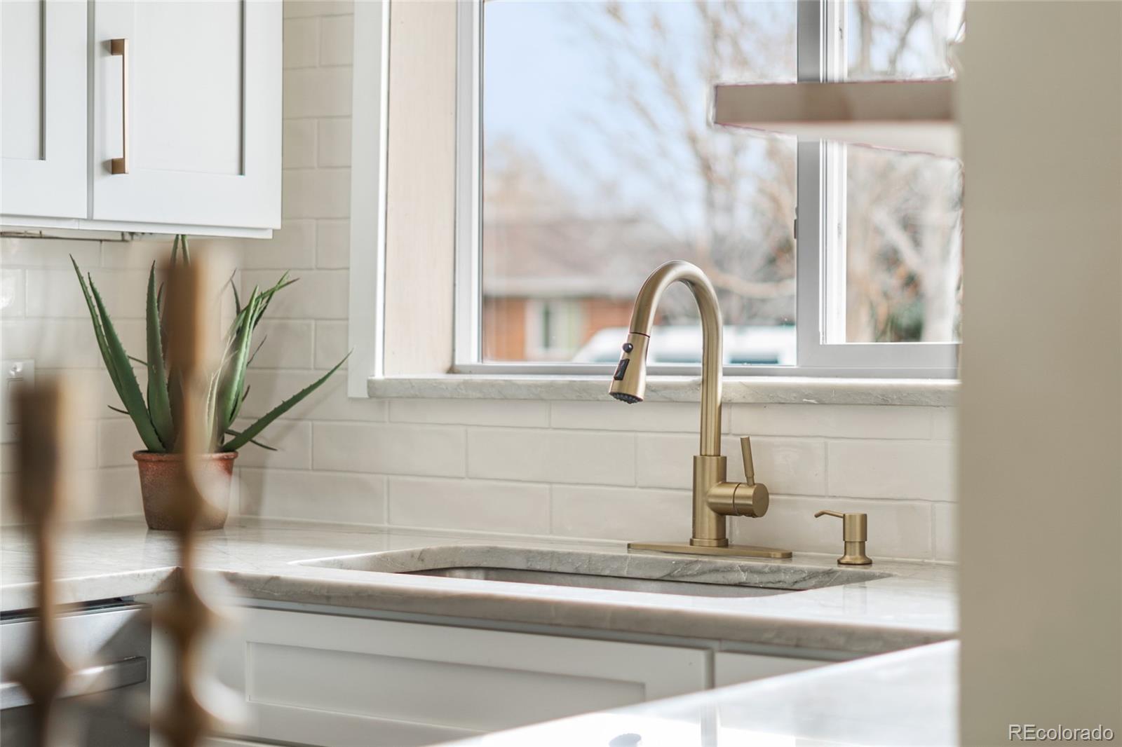 MLS Image #13 for 2901  niagara street,denver, Colorado