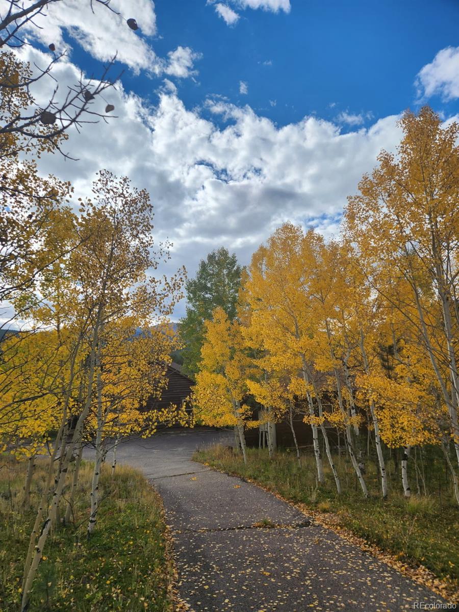 MLS Image #23 for 499  clark road,bailey, Colorado