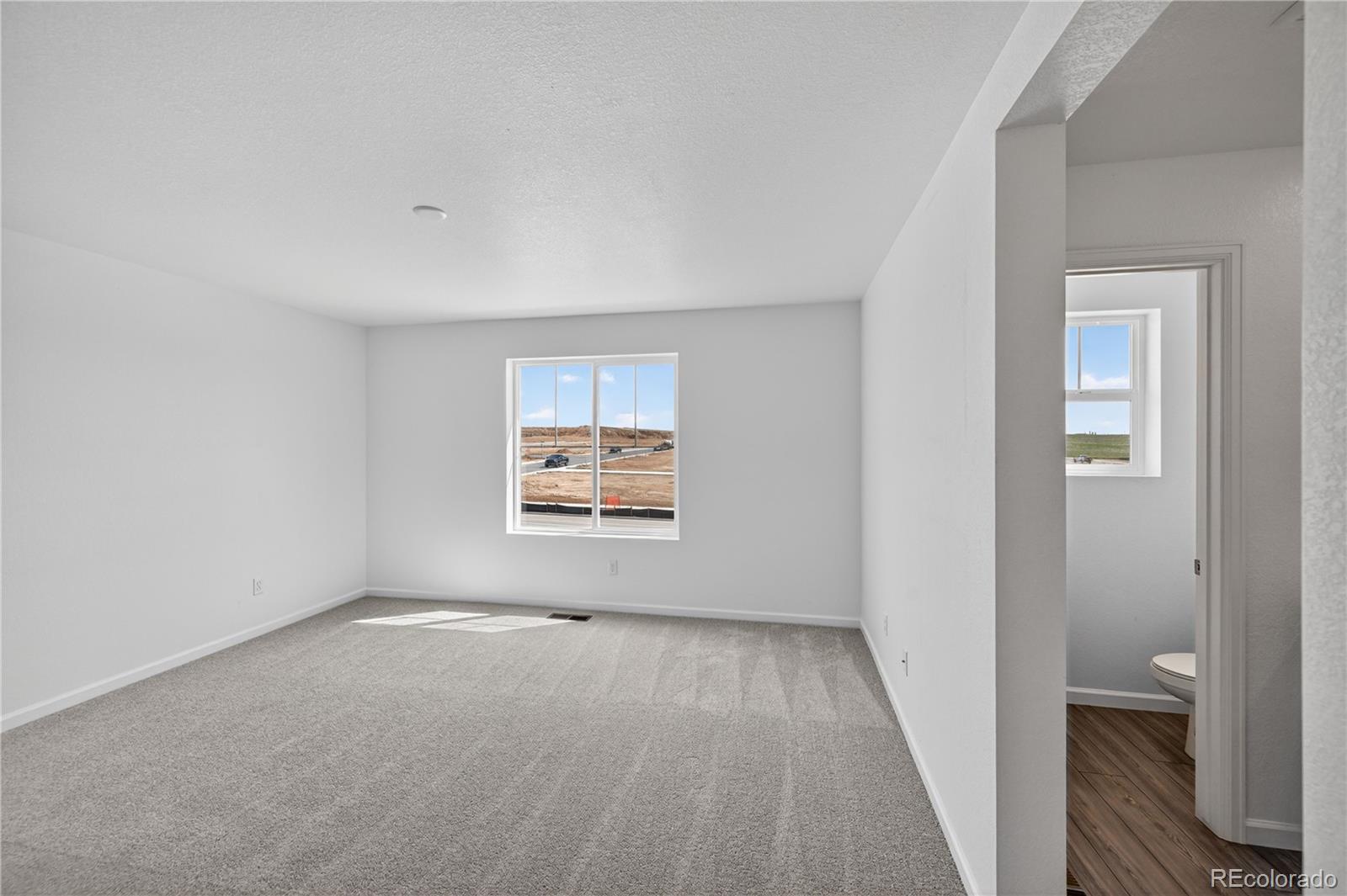 MLS Image #3 for 327 n bently street,watkins, Colorado