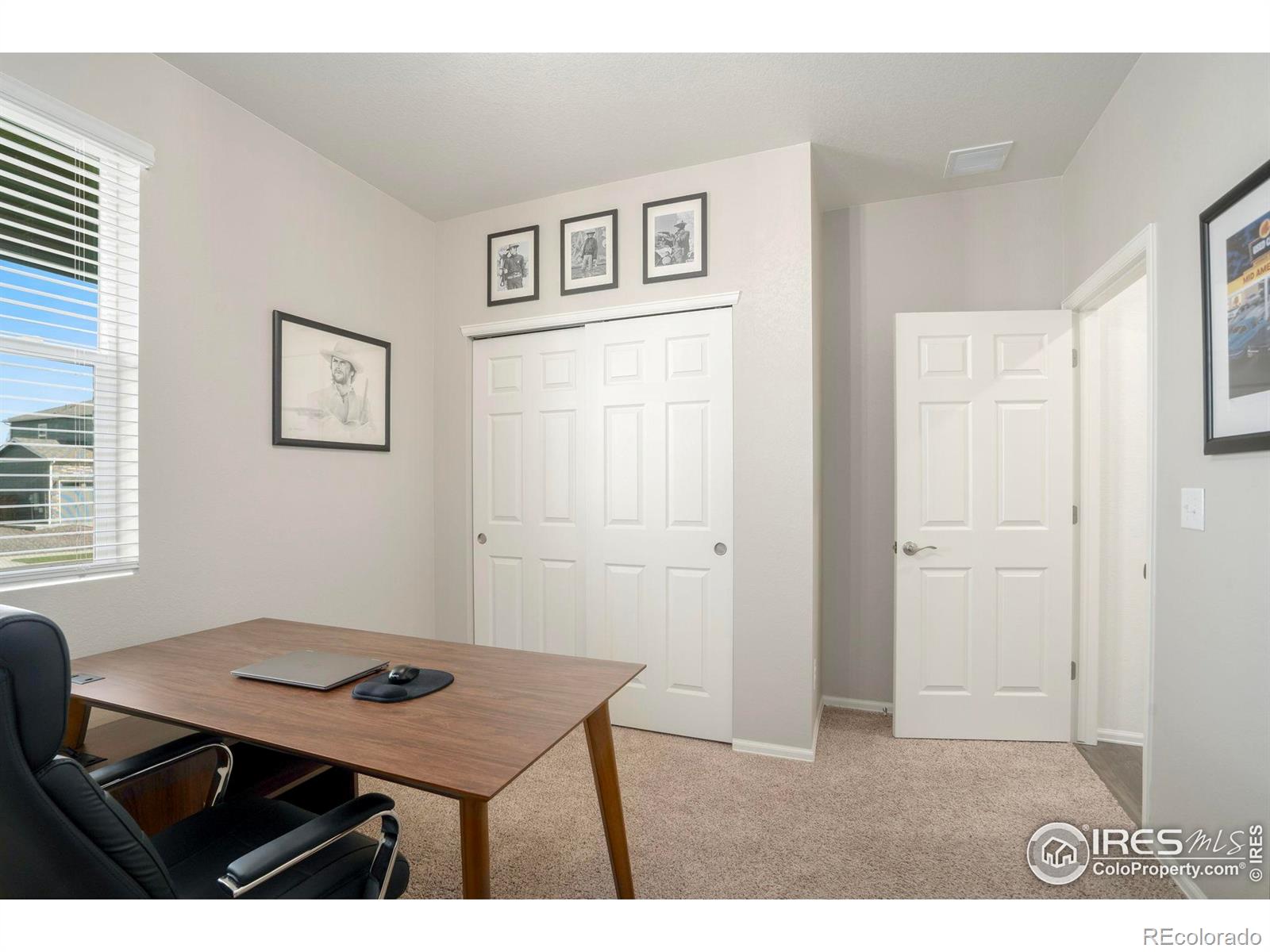 MLS Image #19 for 2034  bouquet drive,windsor, Colorado