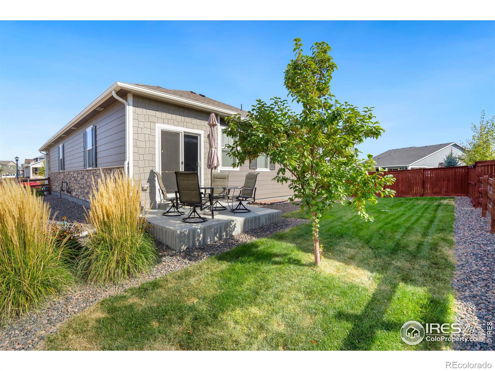 MLS Image #30 for 2034  bouquet drive,windsor, Colorado