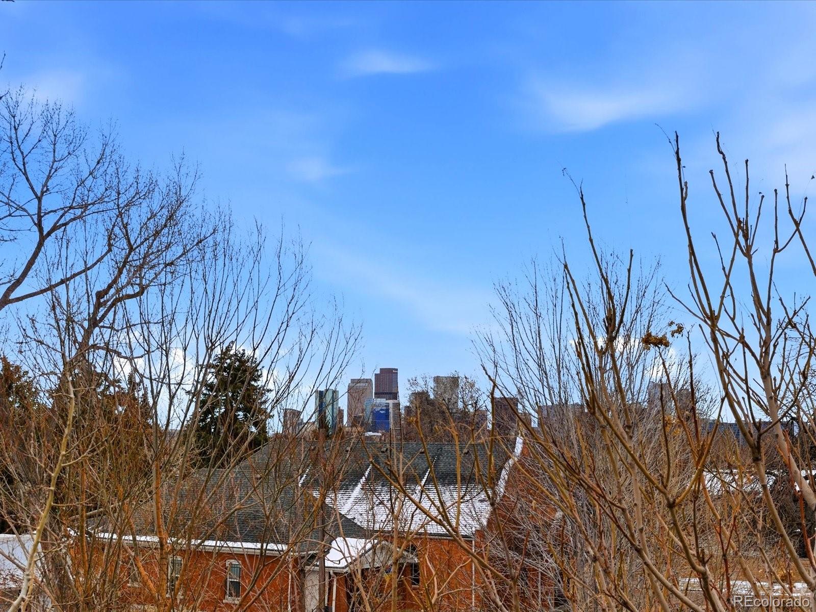 MLS Image #43 for 4141  shoshone street,denver, Colorado