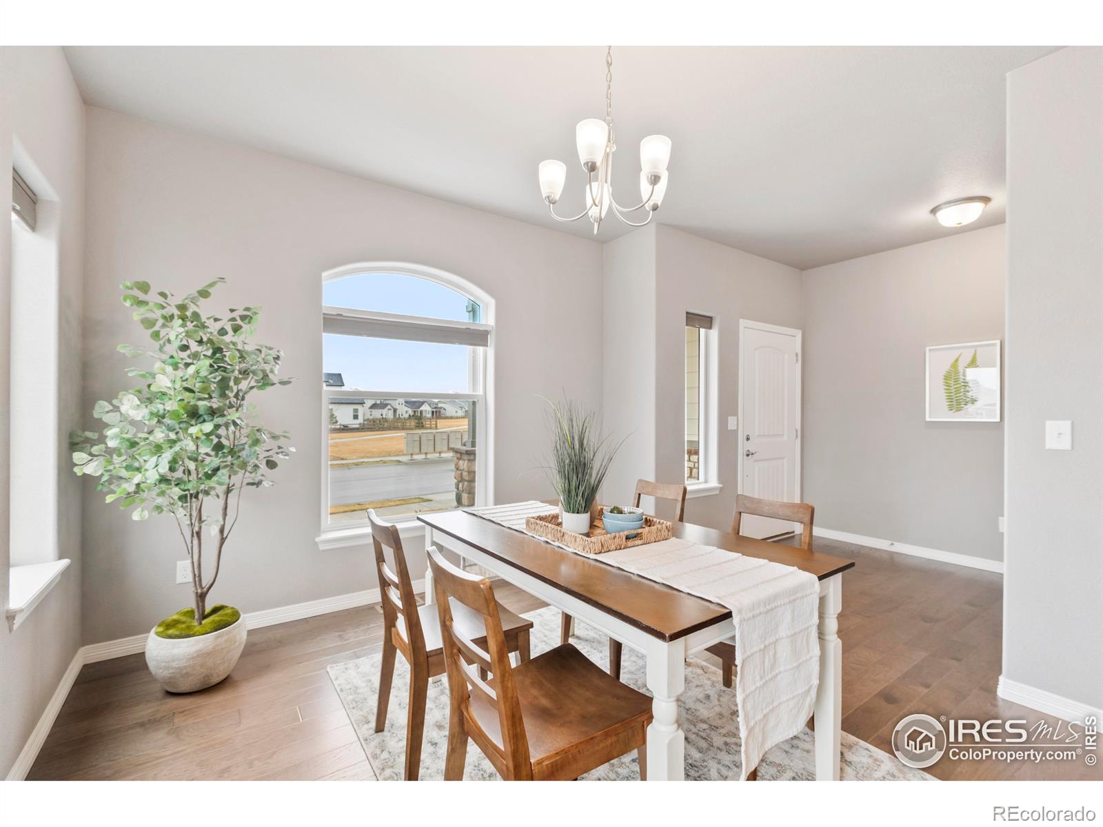 MLS Image #8 for 5461  homeward drive,timnath, Colorado